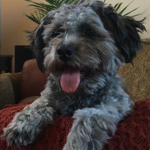 Meet your Posher, Emily